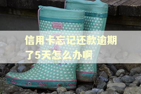 信用卡忘记还款逾期了5天怎么办啊