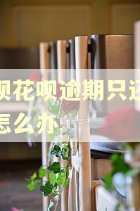 借呗花呗逾期只还本金怎么办