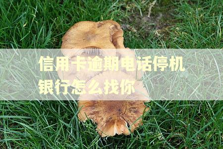 信用卡逾期电话停机银行怎么找你