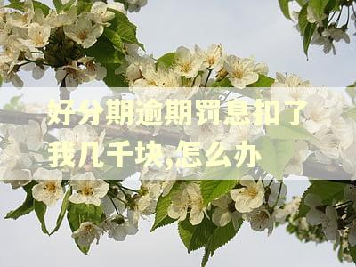 好分期逾期罚息扣了我几千块,怎么办 好分期逾期罚息扣了我几千块,怎么办