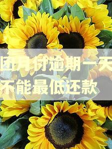 美团月付逾期一天怎么不能最低还款