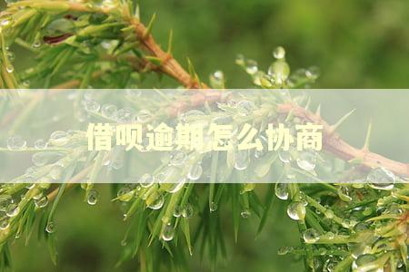 借呗逾期怎么协商