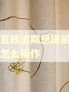 豆豆钱逾期想提前请贷怎么操作