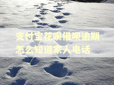 支付宝花呗借呗逾期怎么知道家人电话