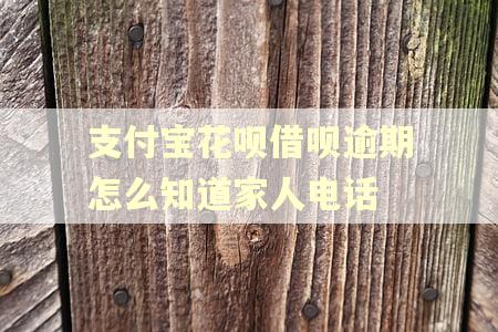 支付宝花呗借呗逾期怎么知道家人电话