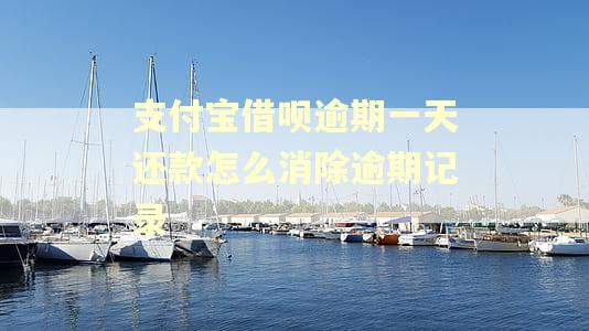 支付宝借呗逾期一天还款怎么消除逾期记录