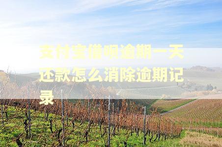 支付宝借呗逾期一天还款怎么消除逾期记录