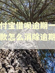 支付宝借呗逾期一天还款怎么消除逾期记录