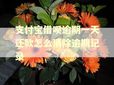 支付宝借呗逾期一天还款怎么消除逾期记录 支付宝借呗逾期一天还款怎么消除逾期记录