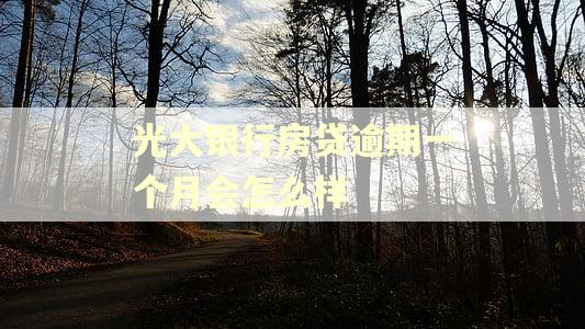 光大银行房贷逾期一个月会怎么样