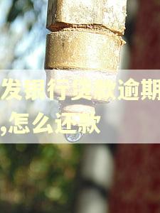 浦发银行贷款逾期一天,怎么还款 浦发银行贷款逾期一天,怎么还款
