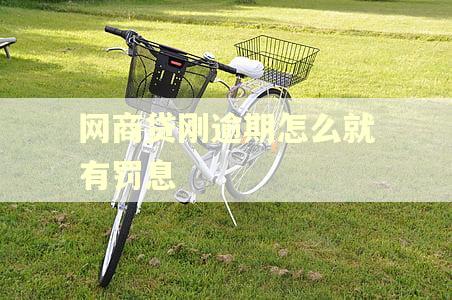 网商贷刚逾期怎么就有罚息