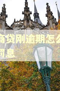 网商贷刚逾期怎么就有罚息