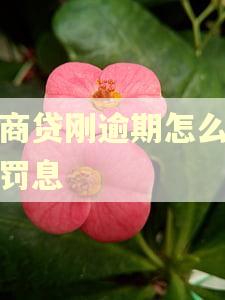 网商贷刚逾期怎么就有罚息
