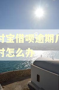 支付宝借呗逾期几个小时怎么办