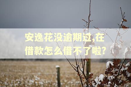 安逸花没逾期过,在借款怎么借不了啦?