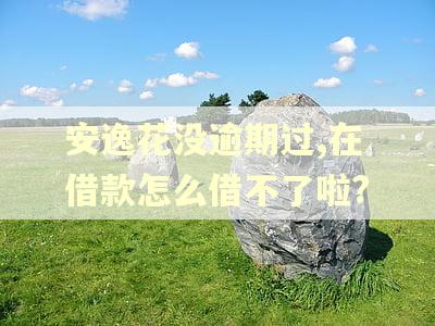 安逸花没逾期过,在借款怎么借不了啦?
