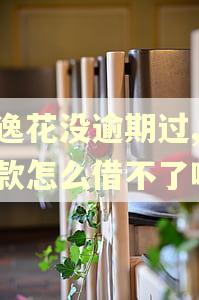 安逸花没逾期过,在借款怎么借不了啦? 安逸花没逾期过,在借款怎么借不了啦?