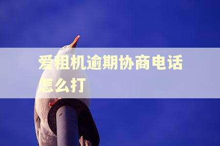 爱租机逾期协商电话怎么打 爱租机逾期协商电话怎么打