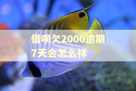 借呗欠2000逾期7天会怎么样