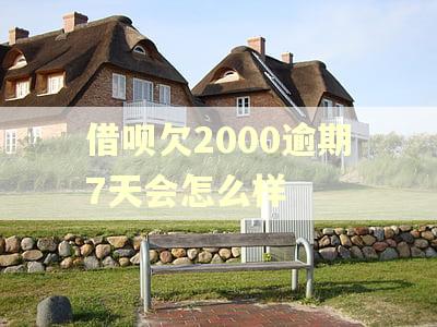 借呗欠2000逾期7天会怎么样 借呗欠2000逾期7天会怎么样