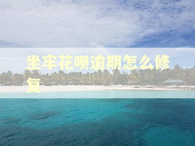 坐牢花呗逾期怎么修复