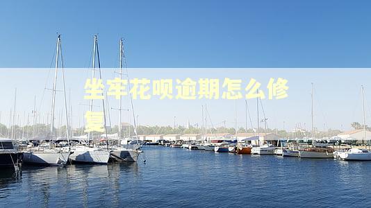 坐牢花呗逾期怎么修复