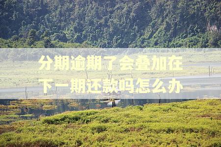 分期逾期了会叠加在下一期还款吗怎么办