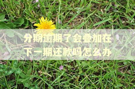 分期逾期了会叠加在下一期还款吗怎么办
