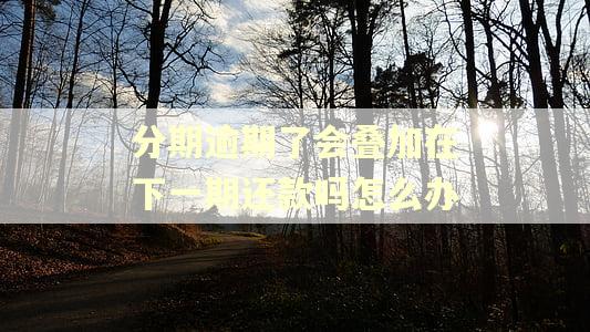 分期逾期了会叠加在下一期还款吗怎么办