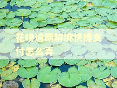 花呗逾期解绑快捷支付怎么弄