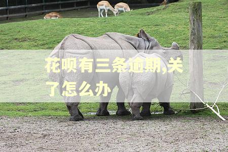 花呗有三条逾期,关了怎么办