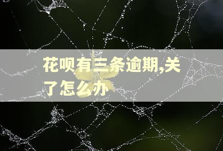 花呗有三条逾期,关了怎么办