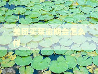 美团买菜逾期会怎么样