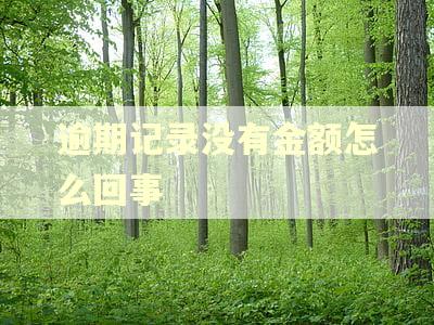 逾期记录没有金额怎么回事