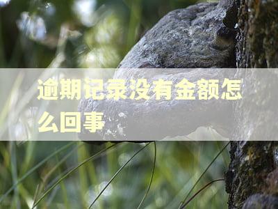 逾期记录没有金额怎么回事