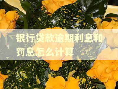 银行贷款逾期利息和罚息怎么计算