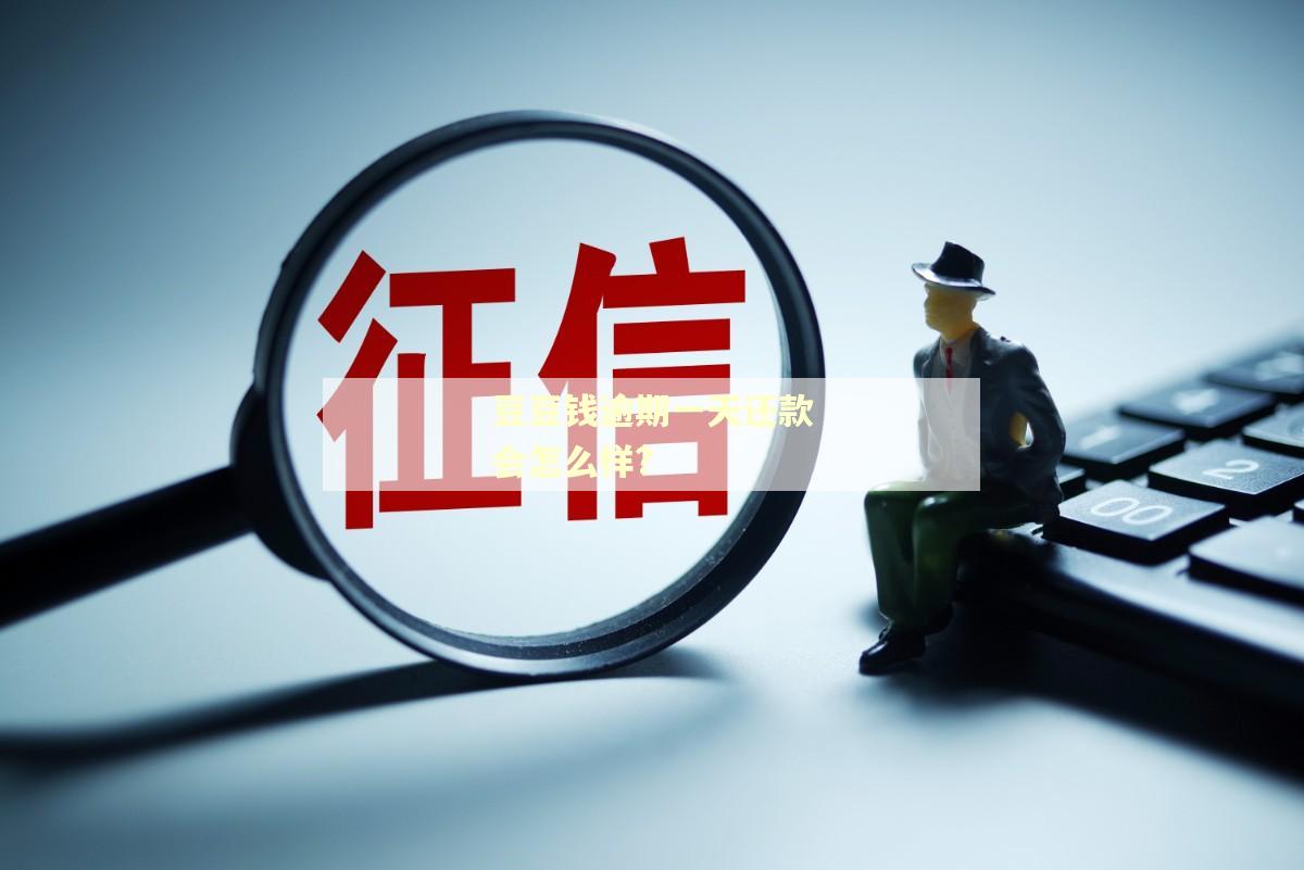 豆豆钱逾期一天还款会怎么样?