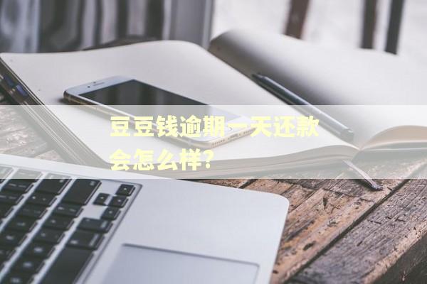 豆豆钱逾期一天还款会怎么样?