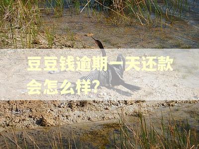 豆豆钱逾期一天还款会怎么样?