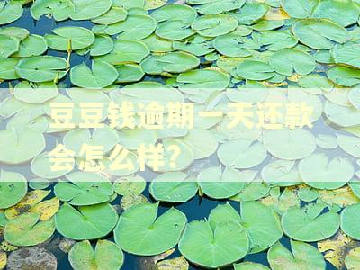 豆豆钱逾期一天还款会怎么样?