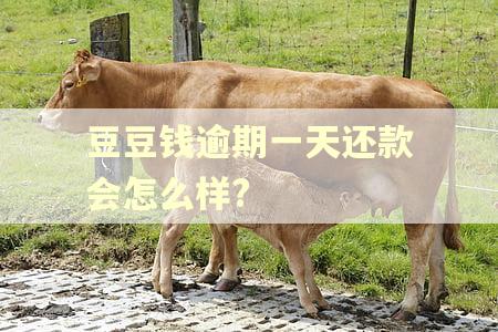 豆豆钱逾期一天还款会怎么样?
