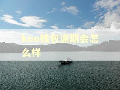 koo钱包逾期会怎么样
