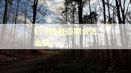 koo钱包逾期会怎么样