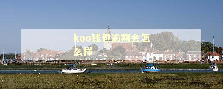 koo钱包逾期会怎么样