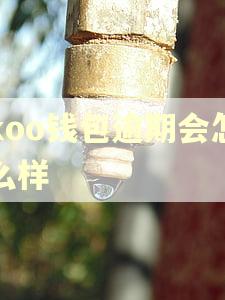 koo钱包逾期会怎么样