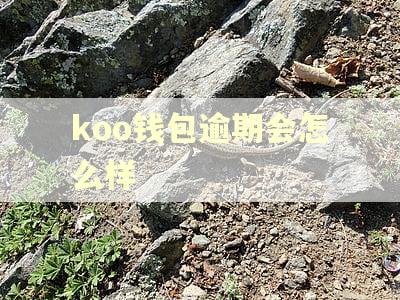 koo钱包逾期会怎么样