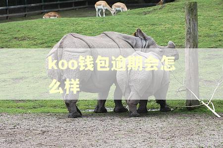 koo钱包逾期会怎么样 koo钱包逾期会怎么样