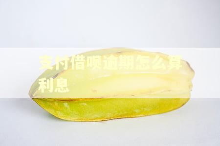 支付借呗逾期怎么算利息