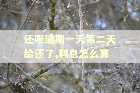 还呗逾期一天第二天给还了,利息怎么算